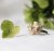 Lotta Jewellry Maya Ginkgo - Ring i silver/14K