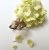 Lotta Jewellry Maya Ginkgo - Ring i silver/14K
