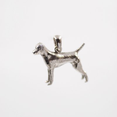 Borderterrier silver