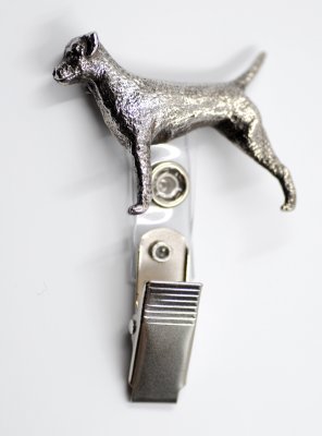 Borderterrier silver