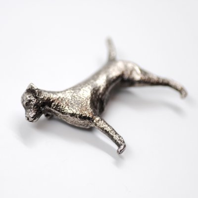Borderterrier silver