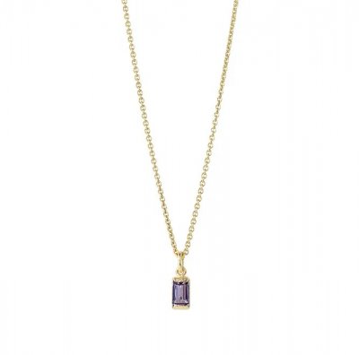 månadssten februari