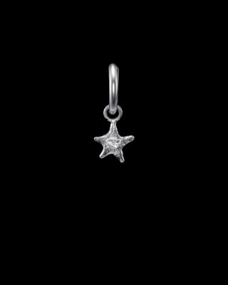 MARIA NILSDOTTER Tiny Tuvstarr's Star - Creol i silver