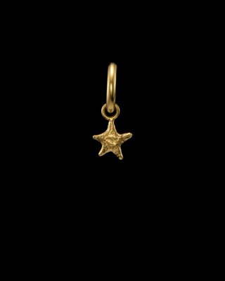 MARIA NILSDOTTER Tiny Tuvstarr's Star - Creol i silver