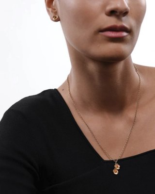 summer night rose kalevala anni ruuth